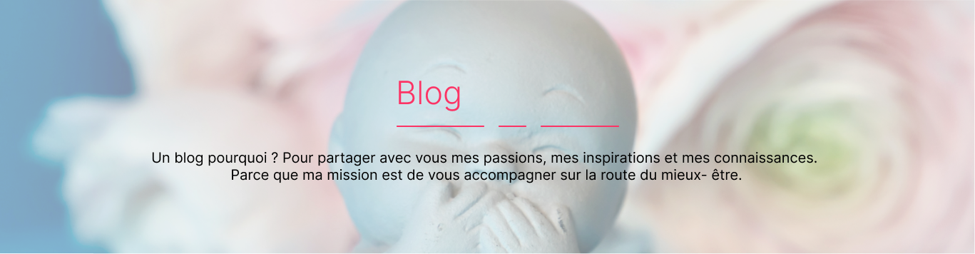 Baniere blog-3